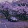 kingelic07